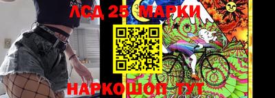 гидра Заводоуковск