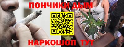гидра Заводоуковск