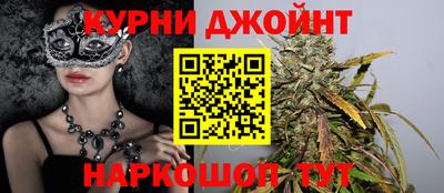 гидра Заводоуковск