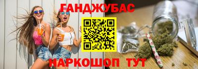 гидра Заводоуковск