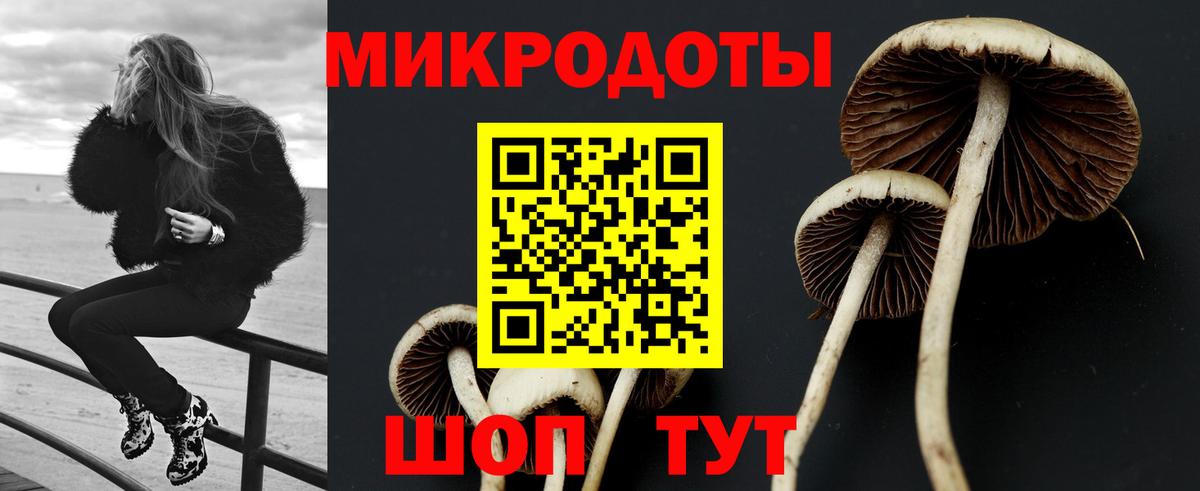 Шелехов  Галлюциногенные грибы Cubensis  Псилоцибиновые грибы мицелий  Вход с VPN 